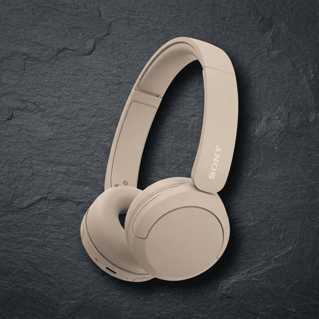 Sony WH-CH520